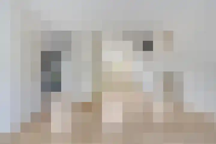 Van de Goorstraat 11 Cromvoirt thumbnail 8