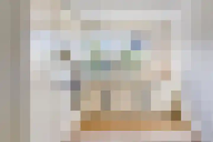 Van de Goorstraat 11 Cromvoirt thumbnail 9