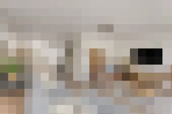 Van de Grootevheenerf 4 Hoogland thumbnail 10