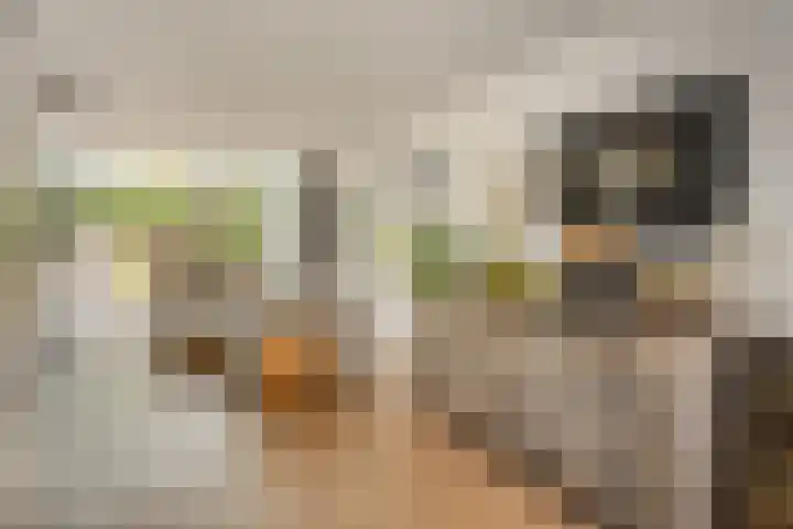 Van de Grootevheenerf 4 Hoogland thumbnail 11