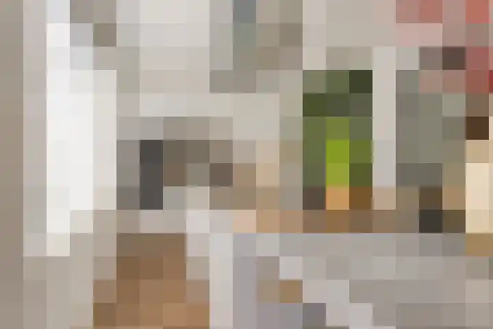 Van de Grootevheenerf 4 Hoogland thumbnail 14