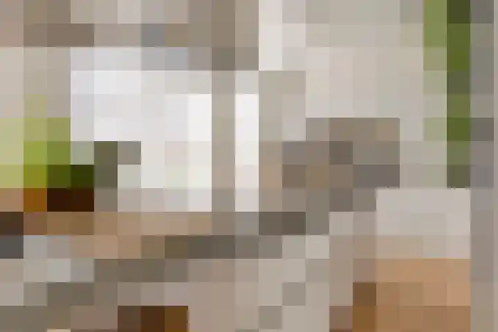 Van de Grootevheenerf 4 Hoogland thumbnail 15