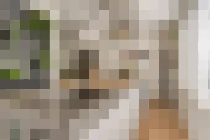 Van de Grootevheenerf 4 Hoogland thumbnail 16