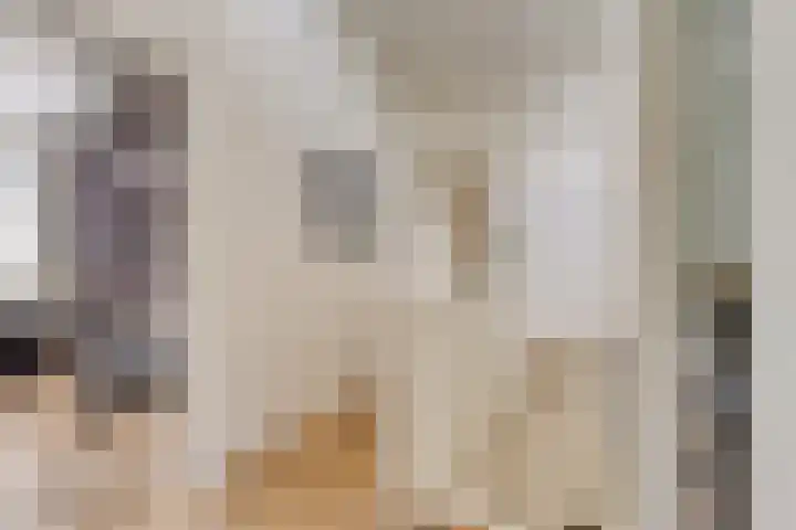 Van de Grootevheenerf 4 Hoogland thumbnail 18