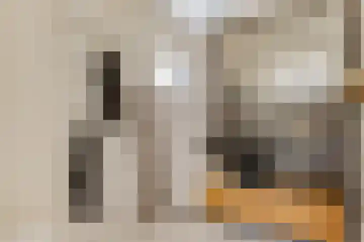 Van de Grootevheenerf 4 Hoogland thumbnail 22