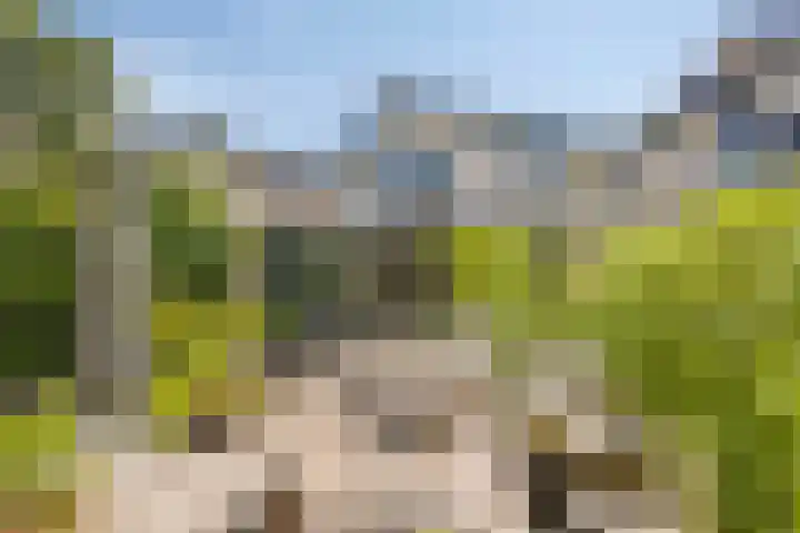 Van de Grootevheenerf 4 Hoogland thumbnail 29