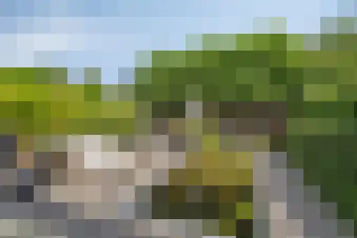 Van de Grootevheenerf 4 Hoogland thumbnail 30