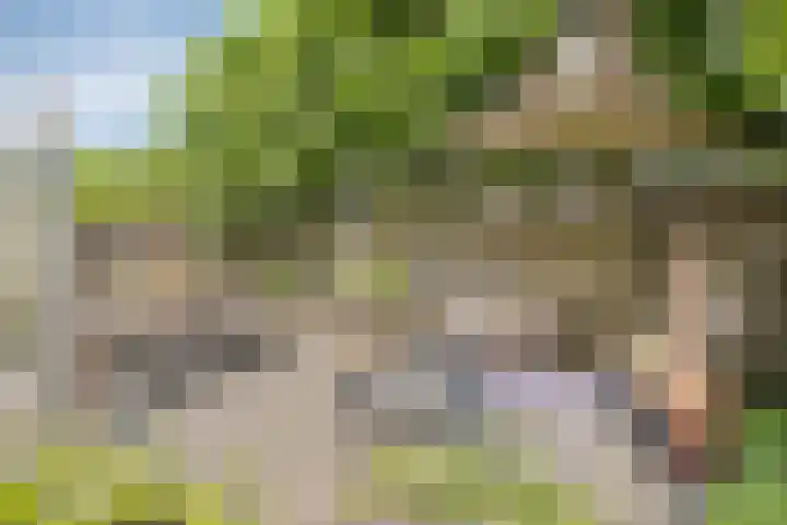 Van de Grootevheenerf 4 Hoogland thumbnail 31