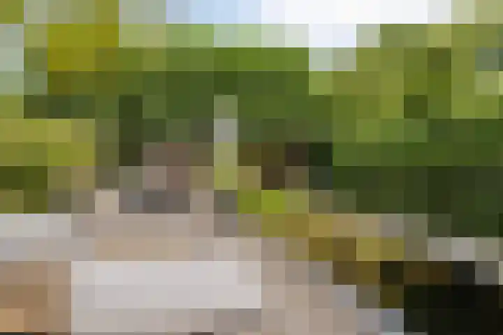 Van de Grootevheenerf 4 Hoogland thumbnail 32