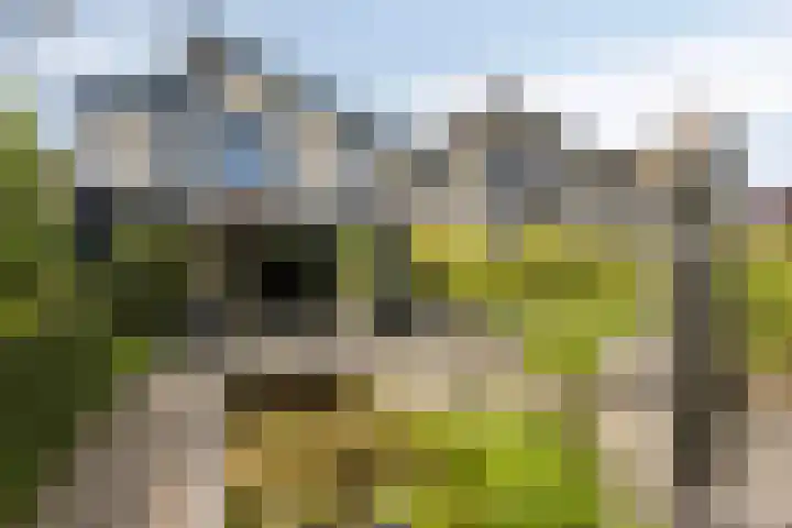 Van de Grootevheenerf 4 Hoogland thumbnail 35