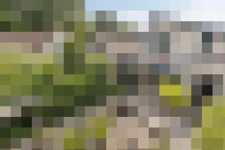 Van de Grootevheenerf 4 Hoogland thumbnail 36