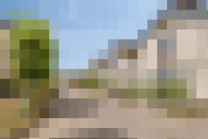 Van de Grootevheenerf 4 Hoogland thumbnail 37
