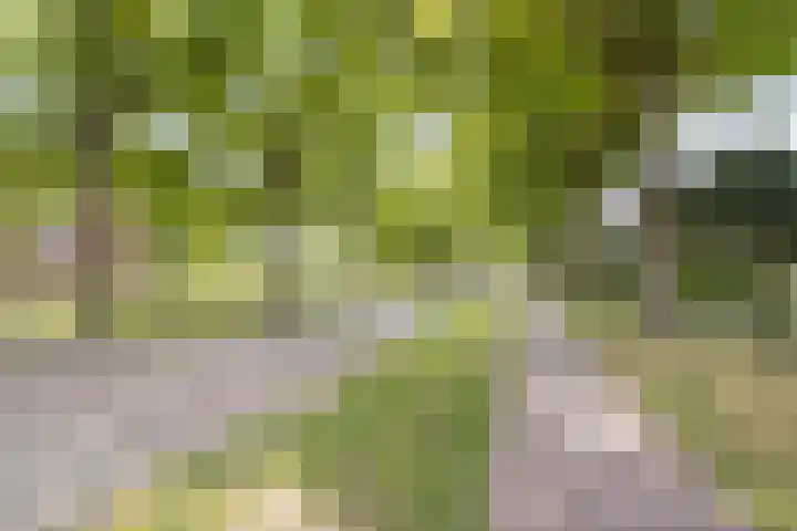 Van de Grootevheenerf 4 Hoogland thumbnail 39