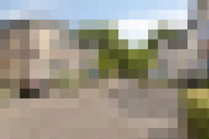 Van de Grootevheenerf 4 Hoogland thumbnail 4