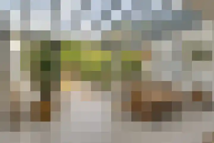 Van de Grootevheenerf 4 Hoogland thumbnail 6
