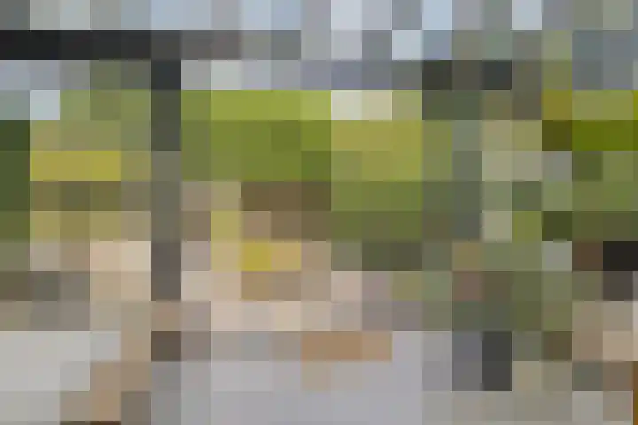 Van de Grootevheenerf 4 Hoogland thumbnail 7