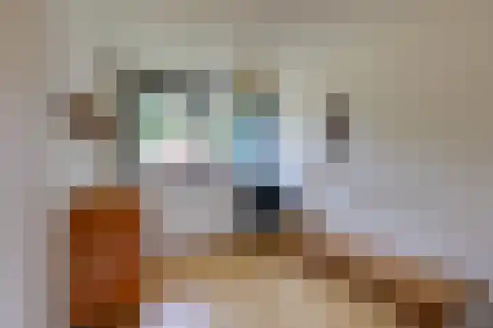 Van de Gumsterlaan 6 Rozendaal thumbnail 31