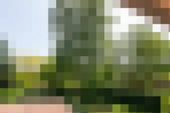 Van de Gumsterlaan 6 Rozendaal thumbnail 37