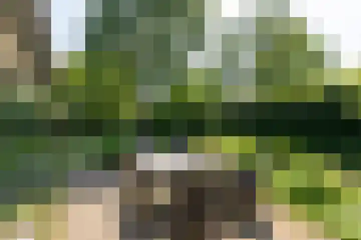 Van de Gumsterlaan 6 Rozendaal thumbnail 41