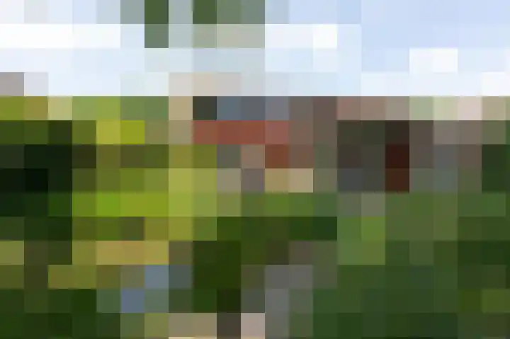 Van de Gumsterlaan 6 Rozendaal thumbnail 43