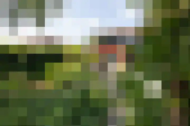 Van de Gumsterlaan 6 Rozendaal thumbnail 46