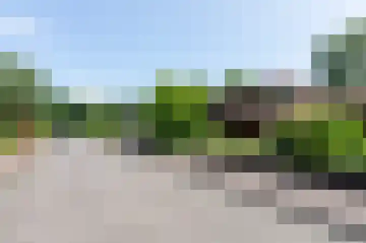 Van de Gumsterlaan 6 Rozendaal thumbnail 6