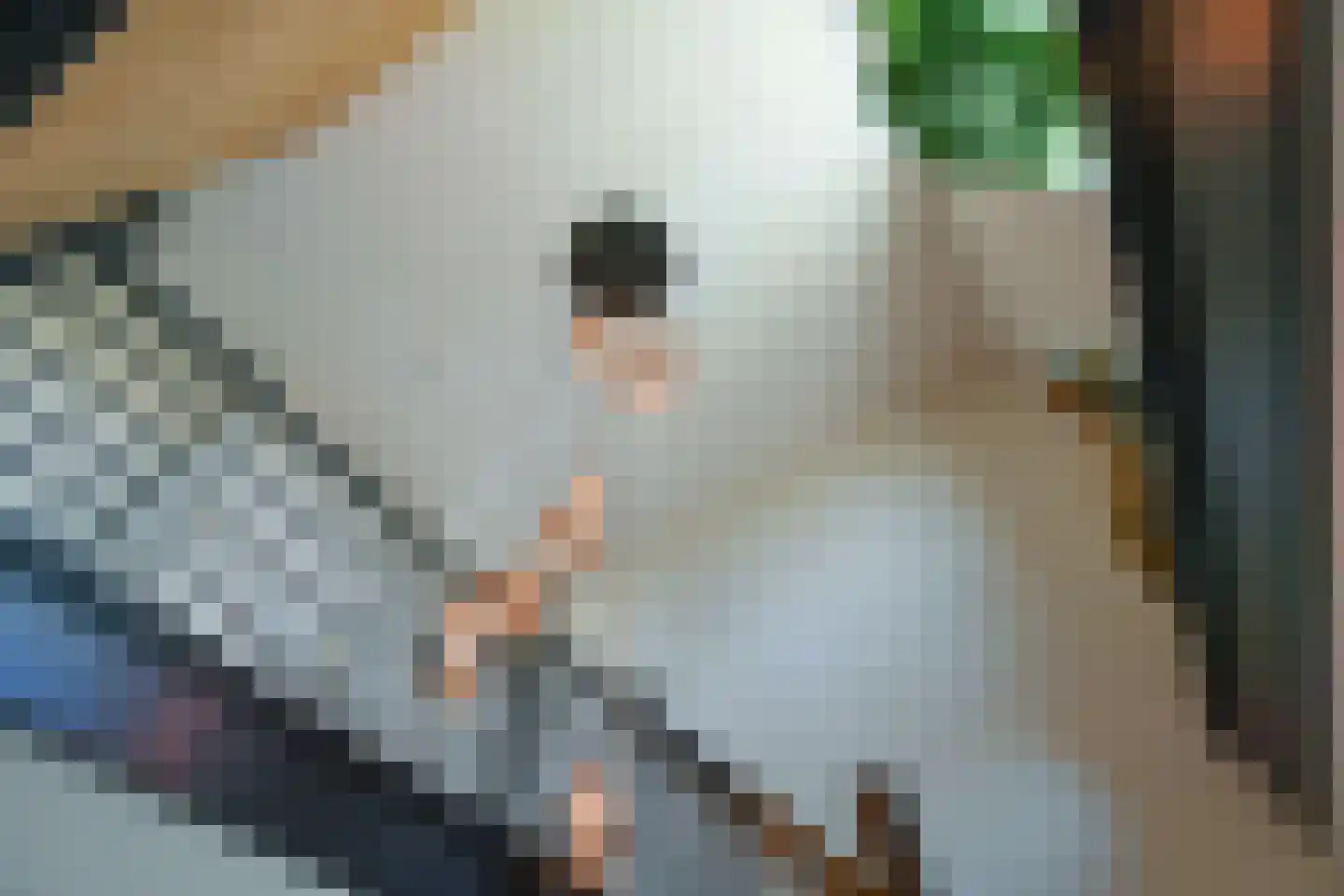 Van de Gumsterlaan 7 Rozendaal thumbnail 11