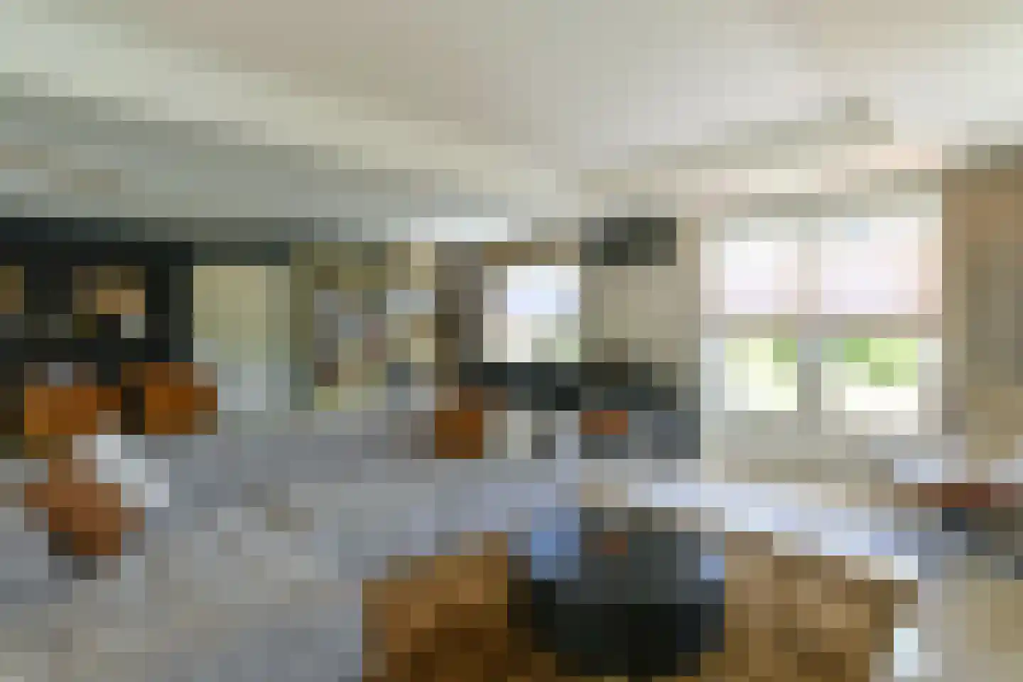 Van de Gumsterlaan 7 Rozendaal thumbnail 15