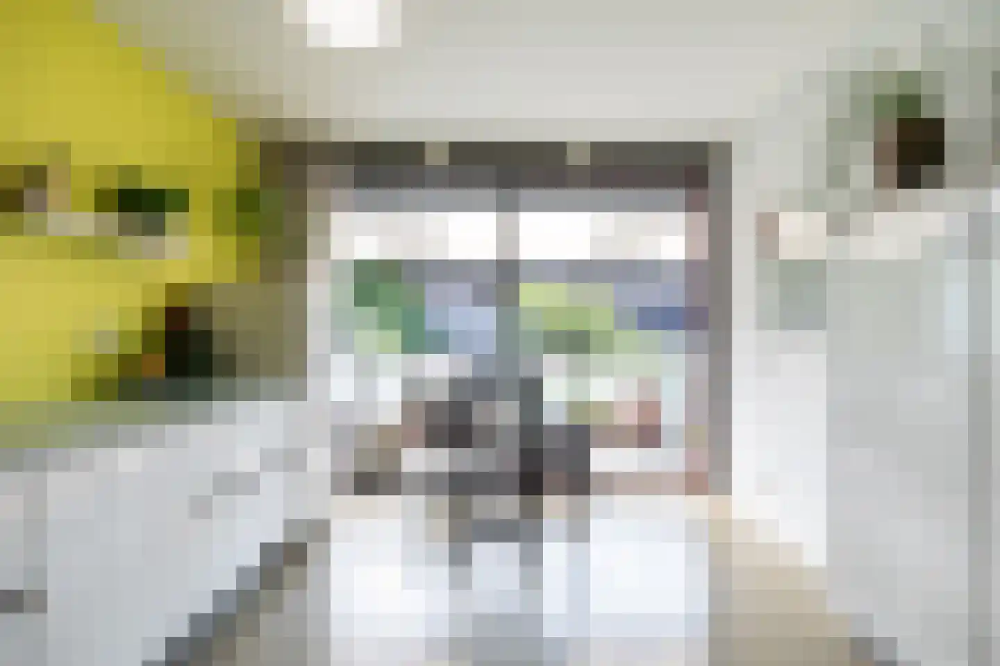 Van de Hulsthof 16 Utrecht thumbnail 10