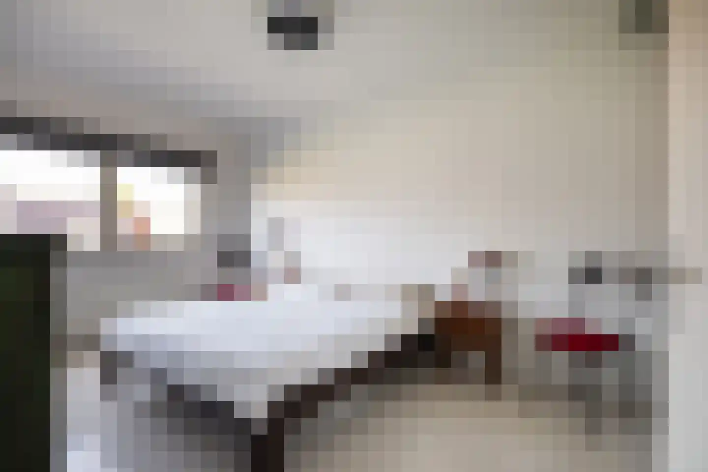 Van de Hulsthof 16 Utrecht thumbnail 19