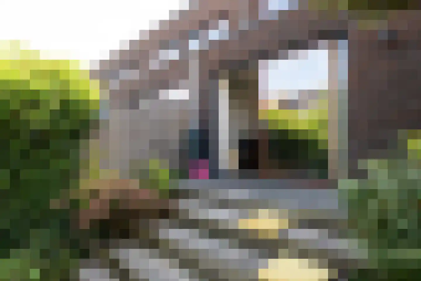 Van de Hulsthof 16 Utrecht thumbnail 26