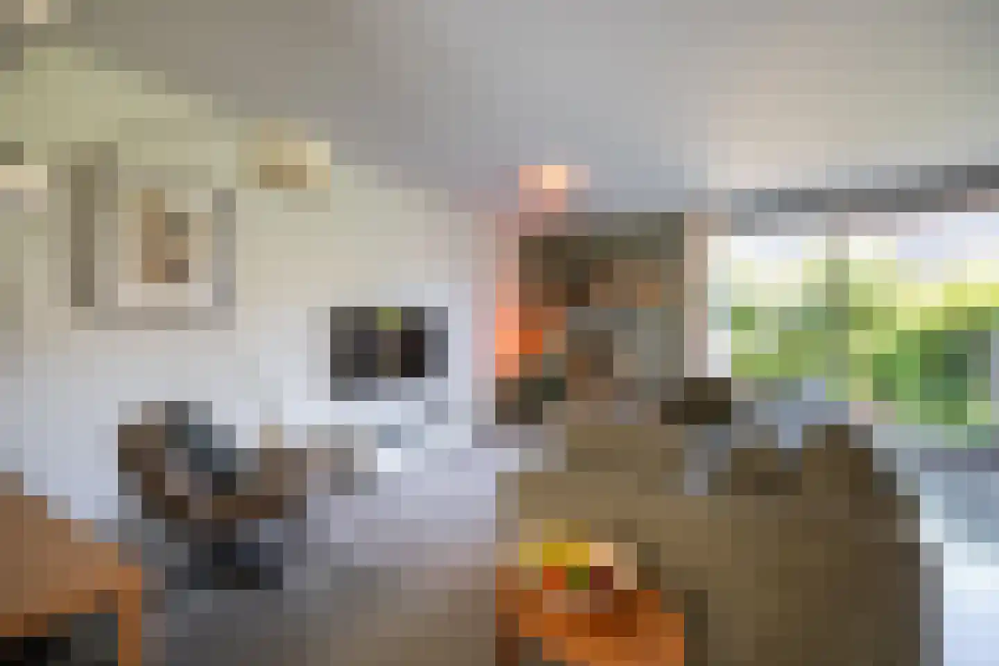 Van de Hulsthof 16 Utrecht thumbnail 4