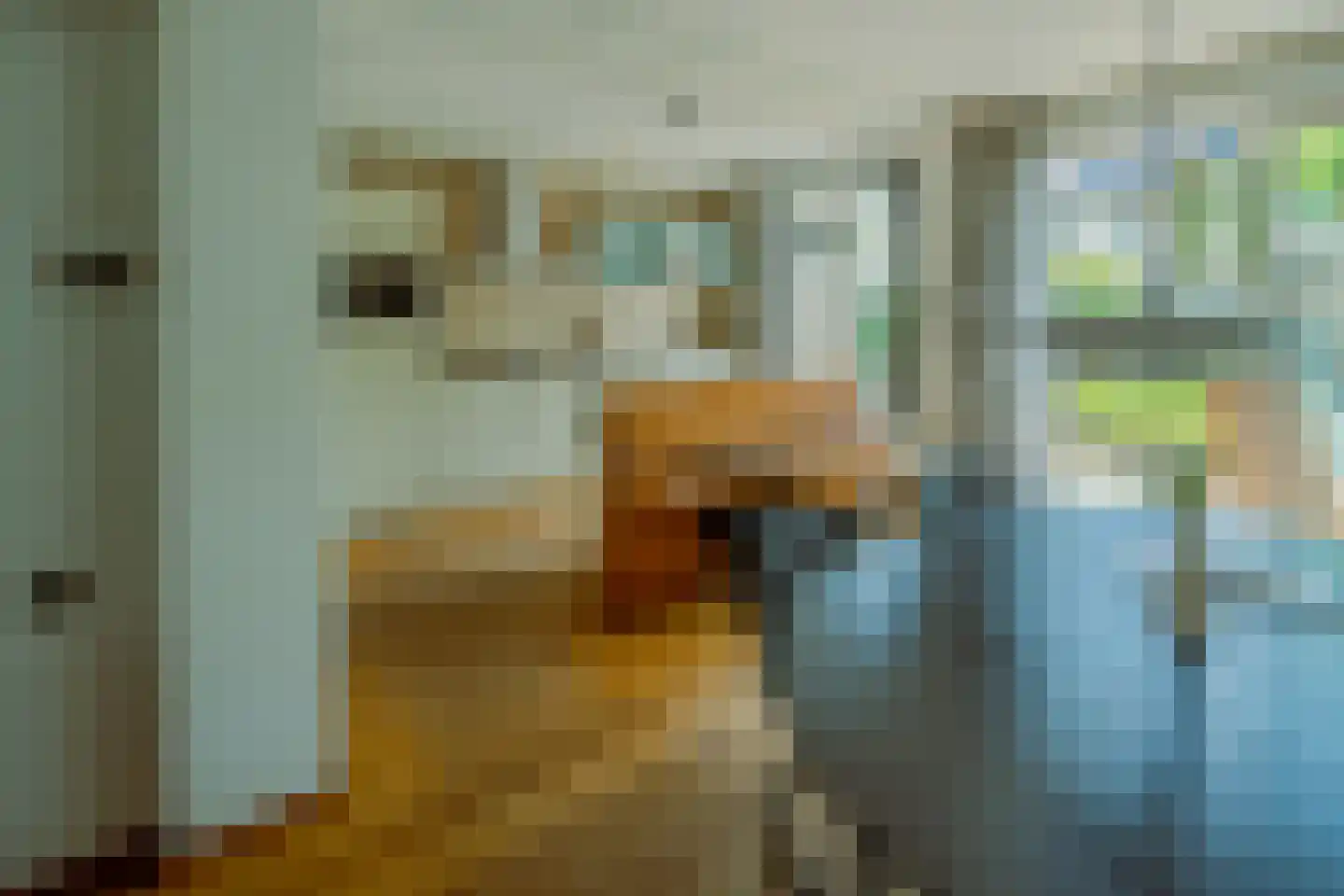 Van de Hulstlaan 16 Veldhoven thumbnail 20