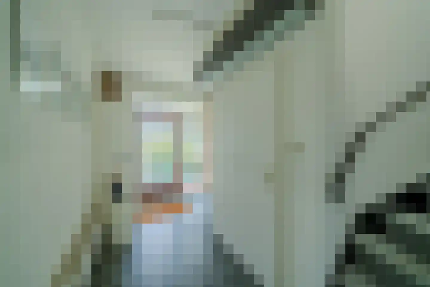 Van de Hulstlaan 16 Veldhoven thumbnail 22