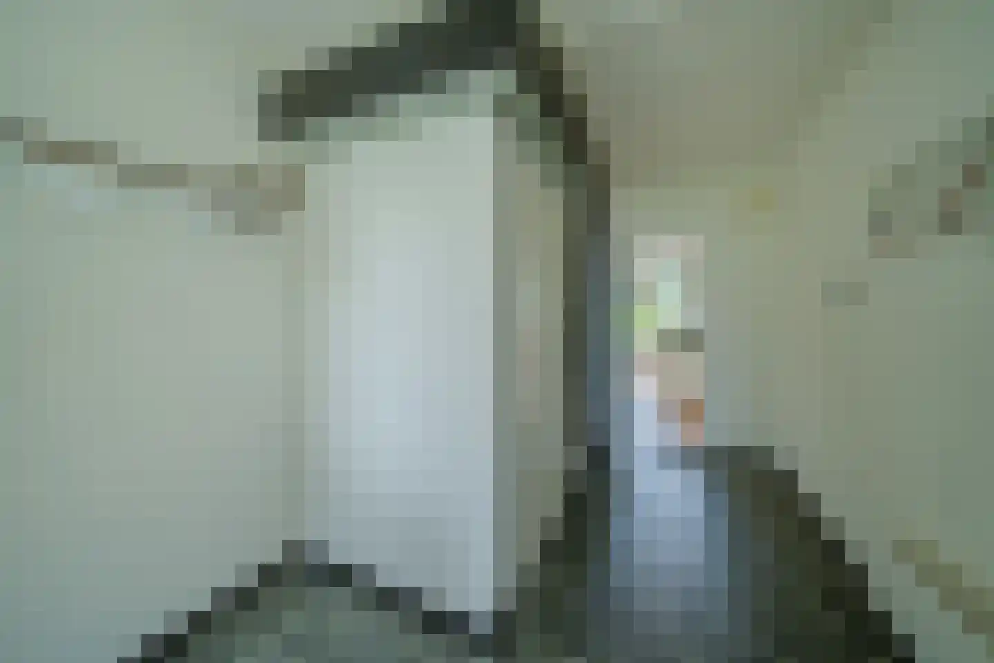 Van de Hulstlaan 16 Veldhoven thumbnail 23