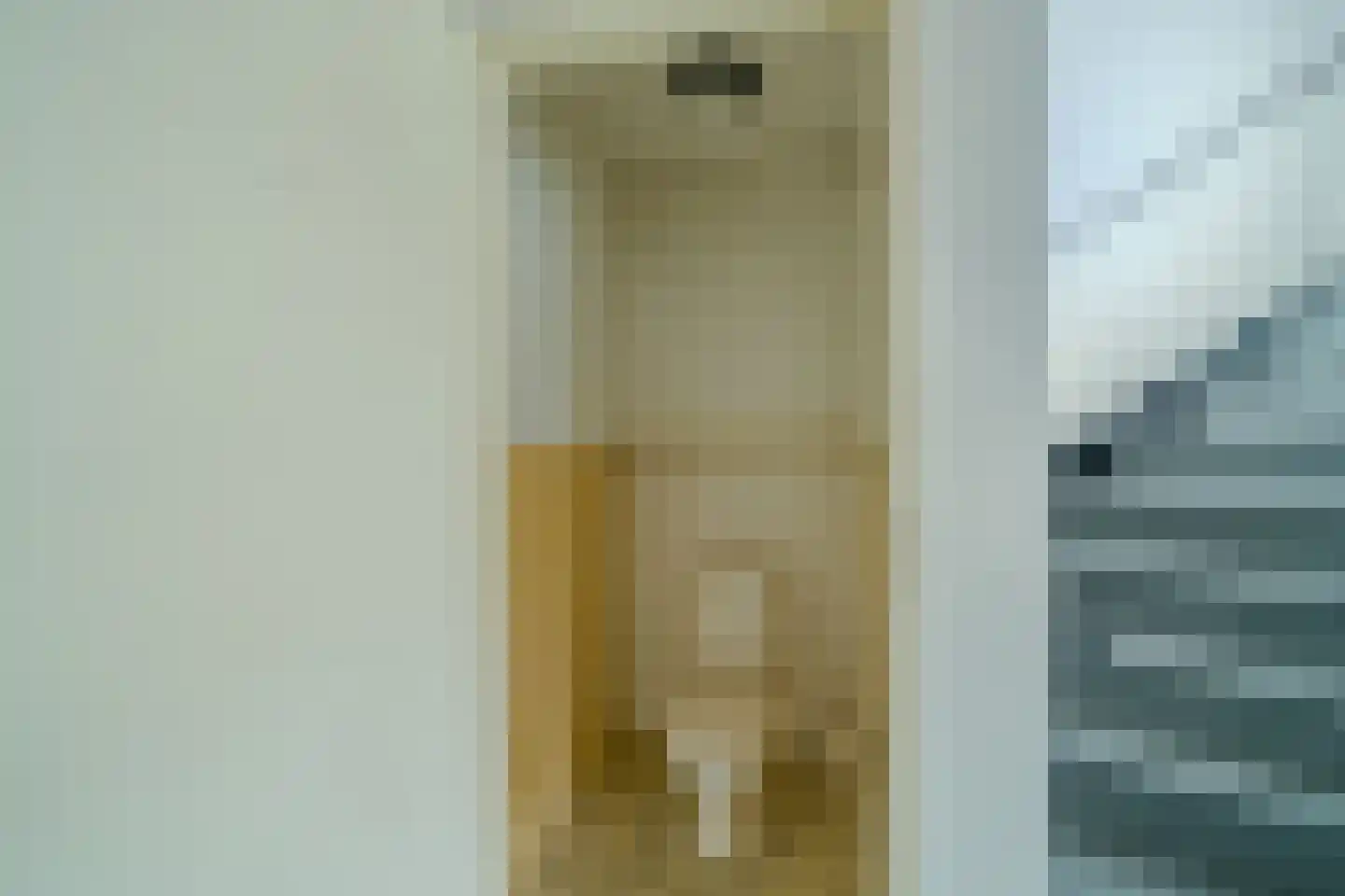 Van de Hulstlaan 16 Veldhoven thumbnail 32