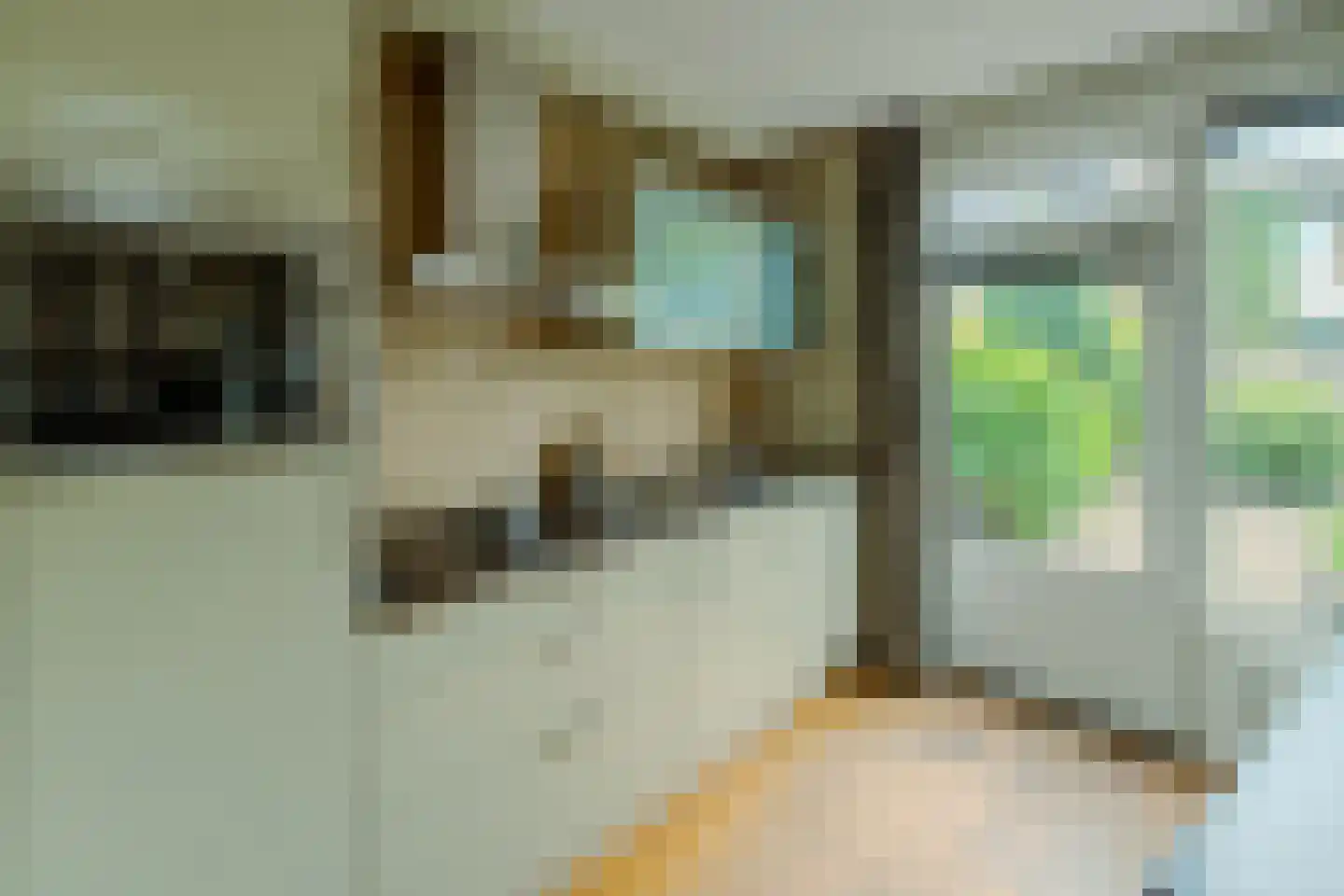 Van de Hulstlaan 16 Veldhoven thumbnail 6