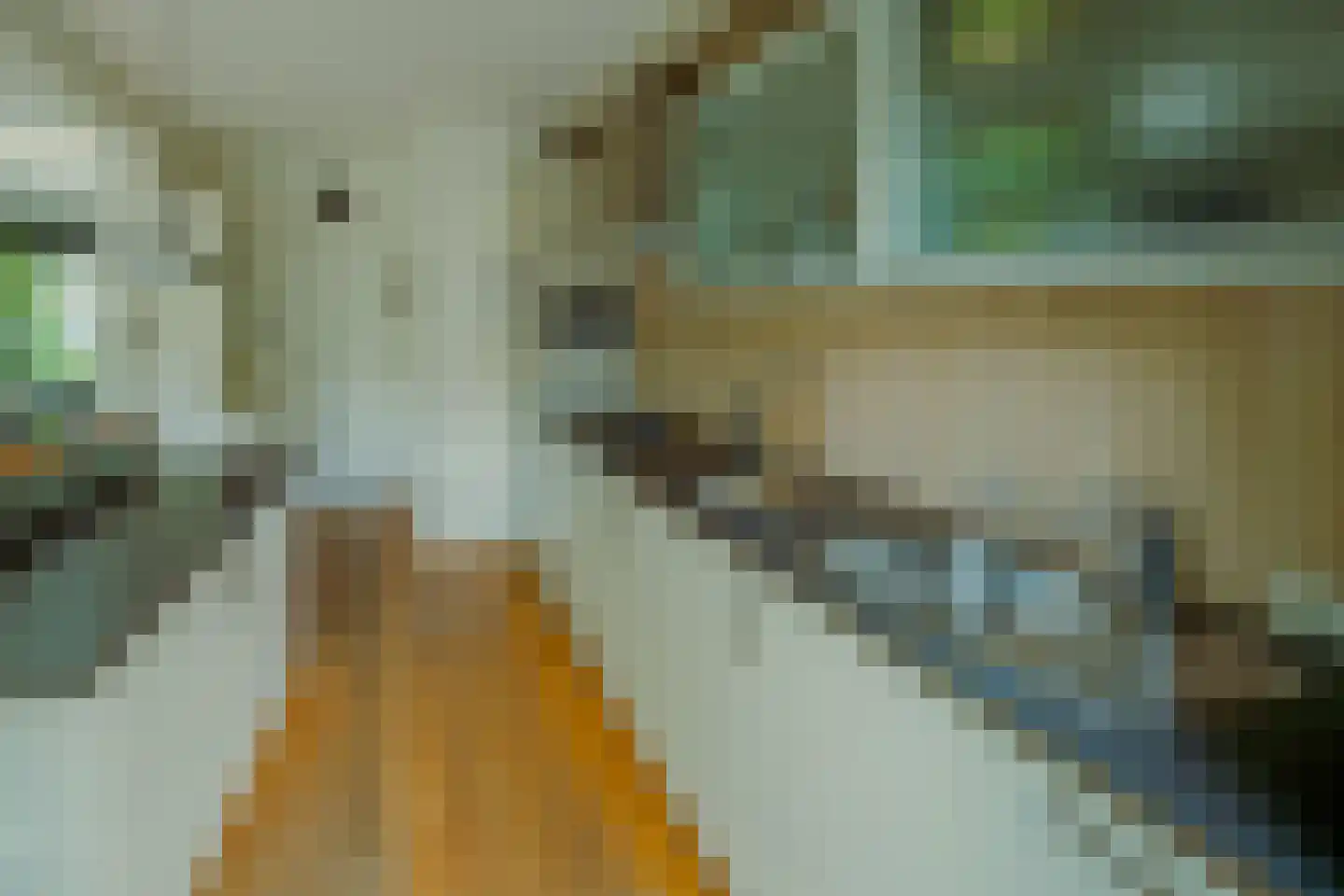 Van de Hulstlaan 16 Veldhoven thumbnail 7