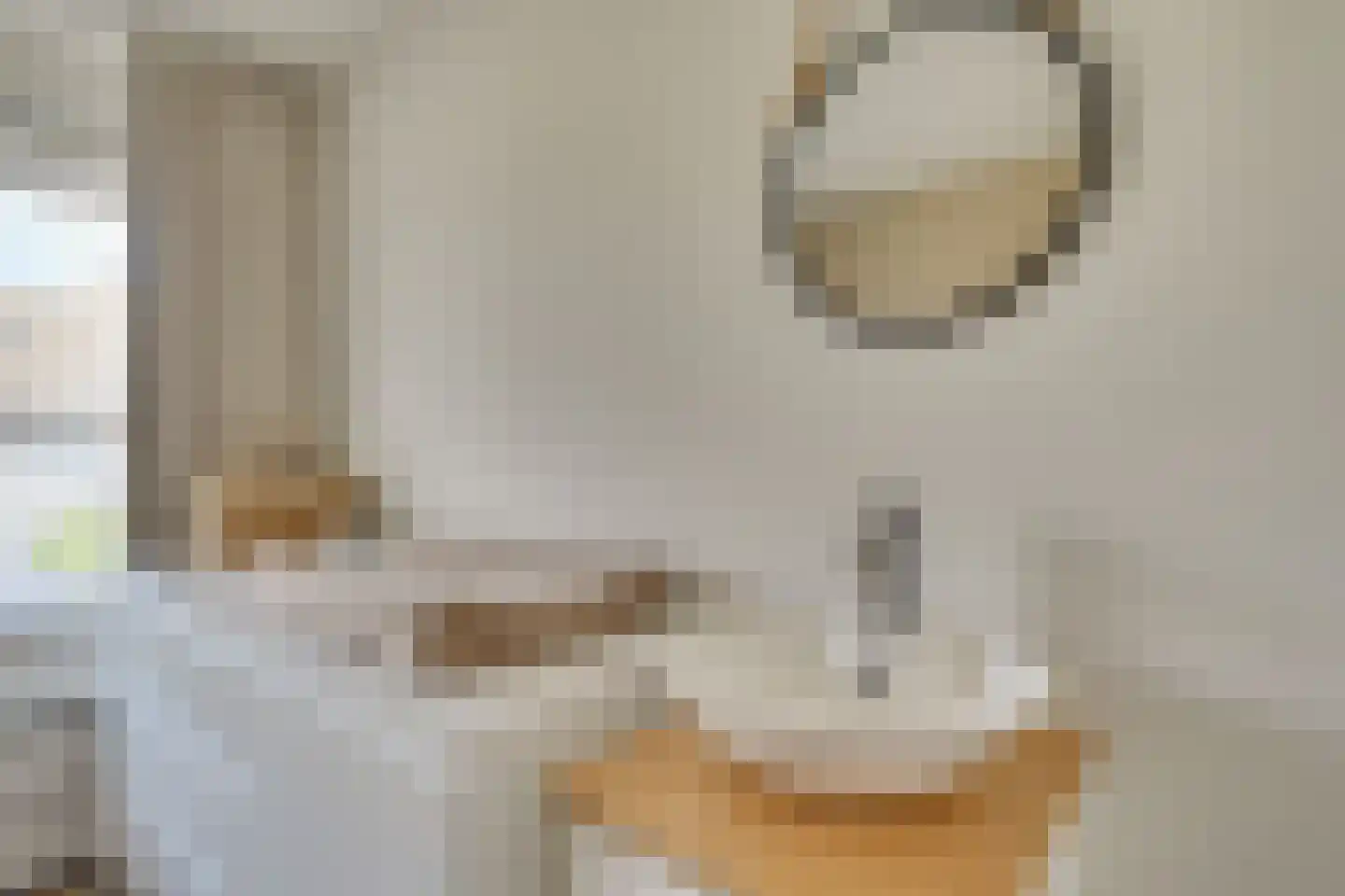 Van de Hulstlaan 22 Veldhoven thumbnail 24