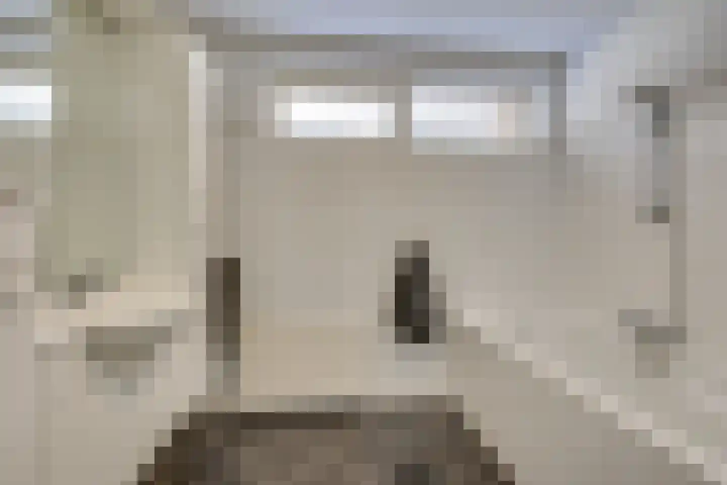 Van de Hulstlaan 22 Veldhoven thumbnail 26