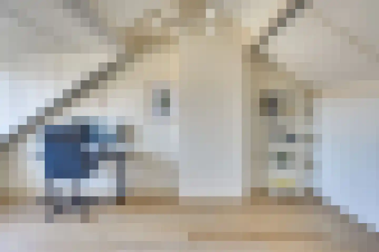 Van de Hulstlaan 22 Veldhoven thumbnail 30