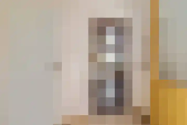 Van de Hulstlaan 34 Veldhoven thumbnail 10