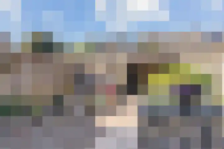 Van de Hulstlaan 34 Veldhoven thumbnail 43