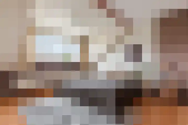 Van de Hulstlaan 34 Veldhoven thumbnail 5