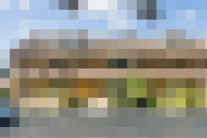 Van de Hulstlaan 34 Veldhoven thumbnail 9
