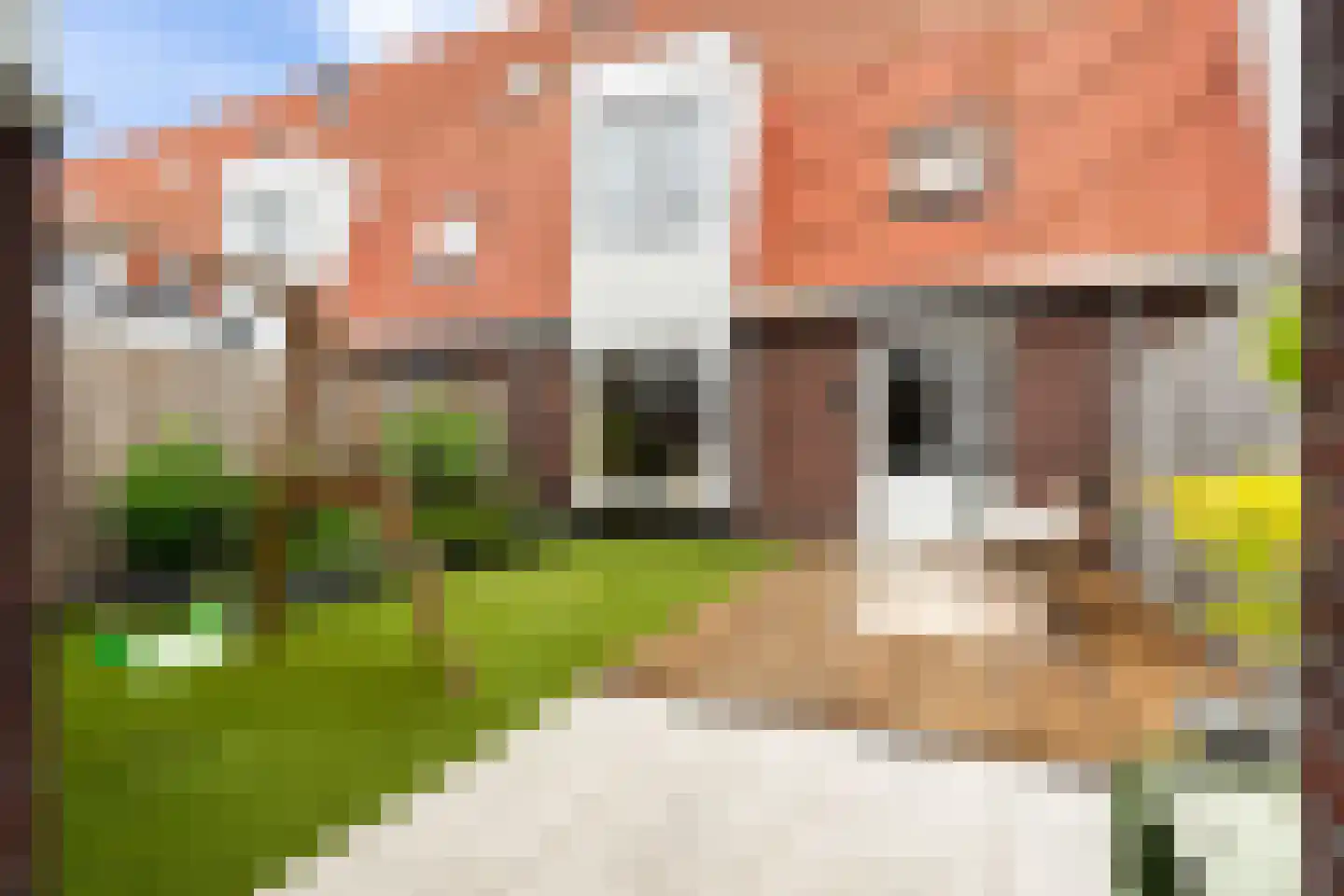 van de Kasteelestraat 113 's-Gravenzande thumbnail 20