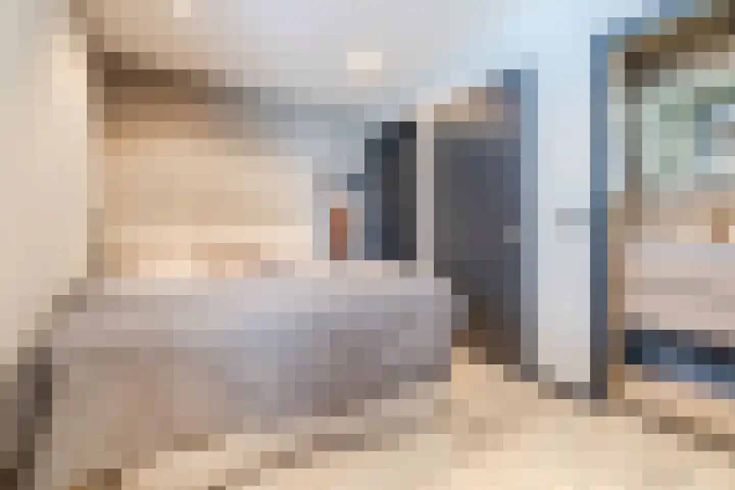 van de Kasteelestraat 3 's-Gravenzande thumbnail 10