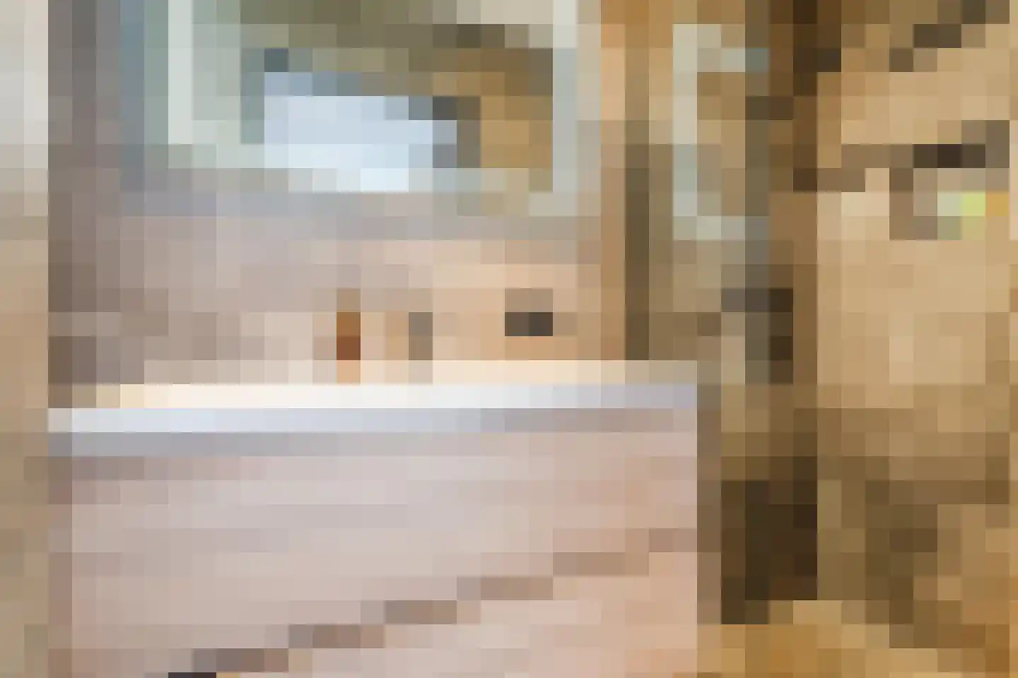van de Kasteelestraat 3 's-Gravenzande thumbnail 11