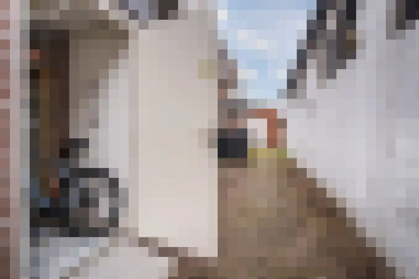 van de Kasteelestraat 3 's-Gravenzande thumbnail 14