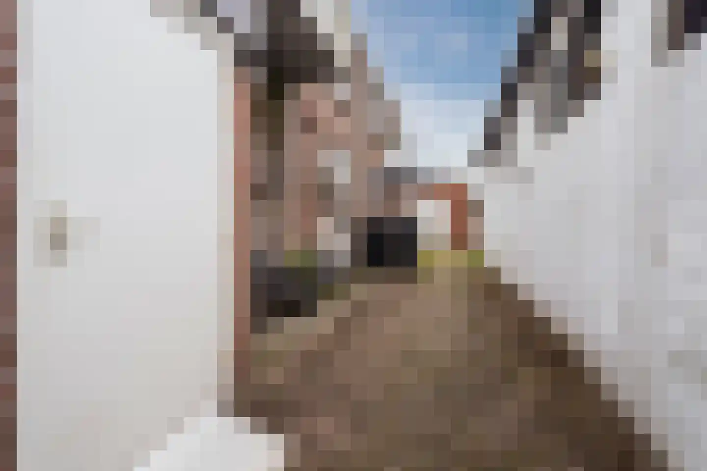 van de Kasteelestraat 3 's-Gravenzande thumbnail 15